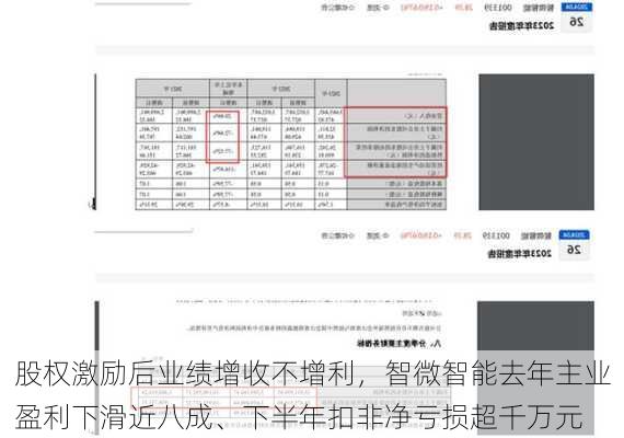 股权激励后业绩增收不增利，智微智能去年主业盈利下滑近八成、下半年扣非净亏损超千万元