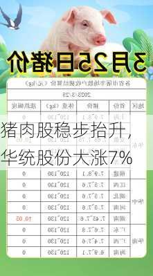 猪肉股稳步抬升，华统股份大涨7%