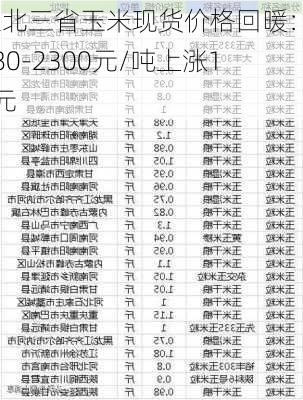 东北三省玉米现货价格回暖：2180-2300元/吨上涨10元