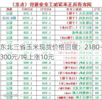 东北三省玉米现货价格回暖：2180-2300元/吨上涨10元