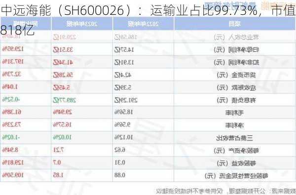 中远海能（SH600026）：运输业占比99.73%，市值818亿