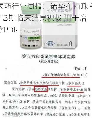 医药行业周报：诺华布西珠单抗3期临床结果积极 用于治疗PDR