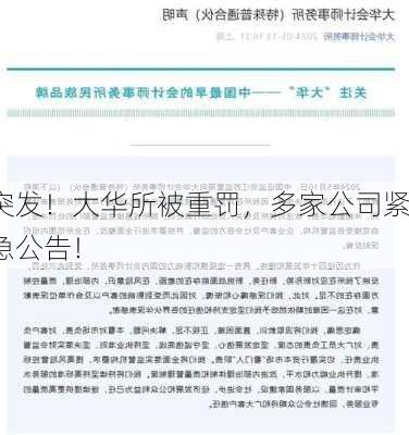 突发！大华所被重罚，多家公司紧急公告！