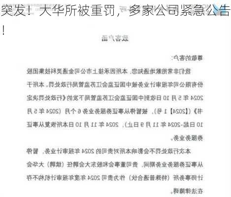 突发！大华所被重罚，多家公司紧急公告！