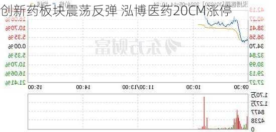 创新药板块震荡反弹 泓博医药20CM涨停