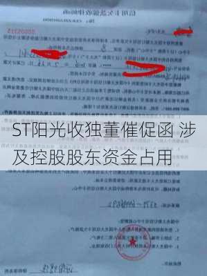 ST阳光收独董催促函 涉及控股股东资金占用