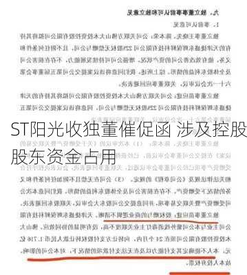 ST阳光收独董催促函 涉及控股股东资金占用