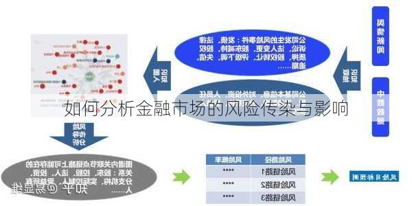 如何分析金融市场的风险传染与影响