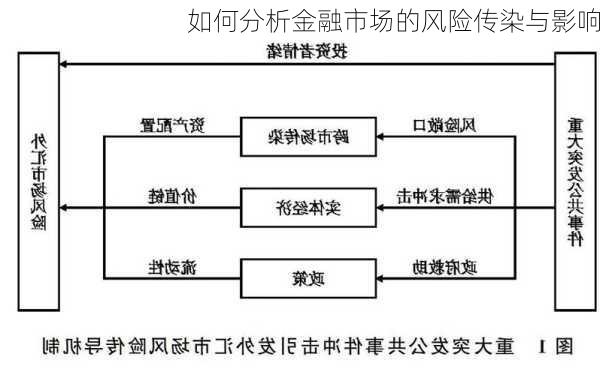 如何分析金融市场的风险传染与影响