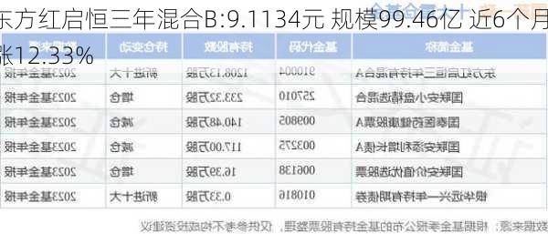 东方红启恒三年混合B:9.1134元 规模99.46亿 近6个月涨12.33%