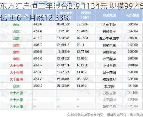 东方红启恒三年混合B:9.1134元 规模99.46亿 近6个月涨12.33%