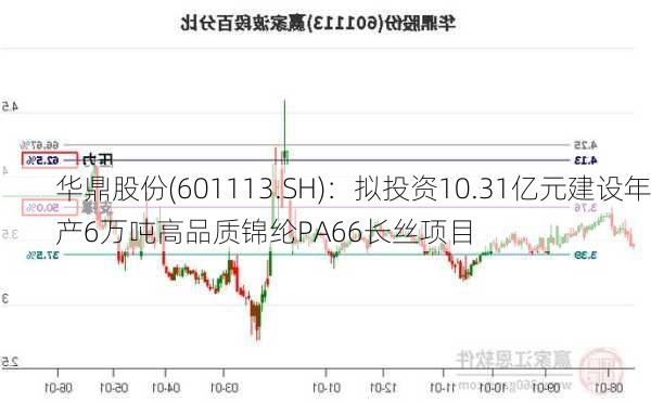 华鼎股份(601113.SH)：拟投资10.31亿元建设年产6万吨高品质锦纶PA66长丝项目