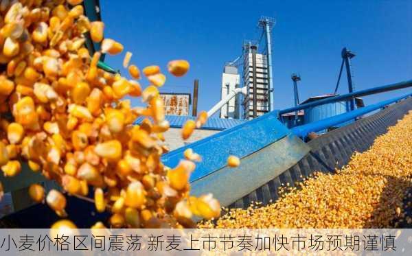 小麦价格区间震荡 新麦上市节奏加快市场预期谨慎
