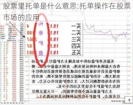 股票里托单是什么意思:托单操作在股票市场的应用