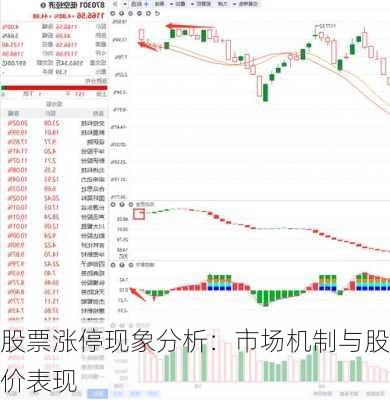 股票涨停现象分析：市场机制与股价表现