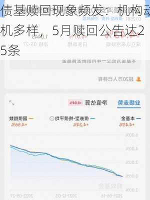 债基赎回现象频发：机构动机多样，5月赎回公告达25条