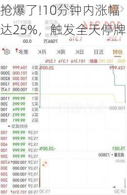 抢爆了!10分钟内涨幅达25%，触发全天停牌