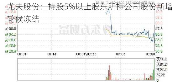 尤夫股份：持股5%以上股东所持公司股份新增轮候冻结