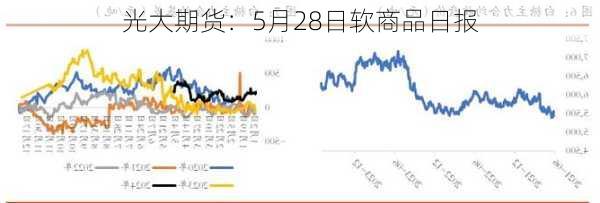 光大期货：5月28日软商品日报