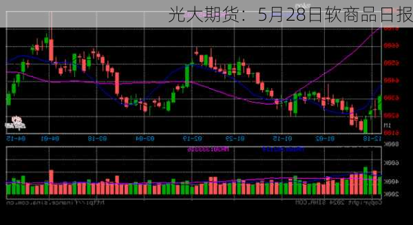 光大期货：5月28日软商品日报