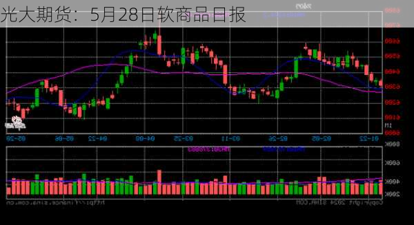 光大期货：5月28日软商品日报