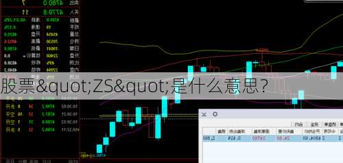 股票"ZS"是什么意思？