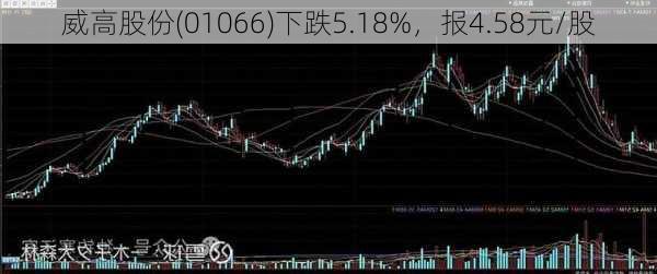 威高股份(01066)下跌5.18%，报4.58元/股