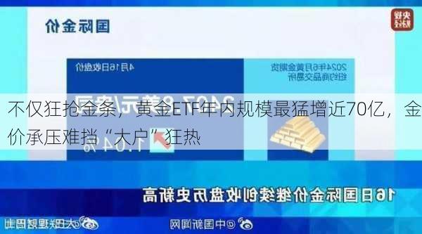 不仅狂抢金条，黄金ETF年内规模最猛增近70亿，金价承压难挡“大户”狂热