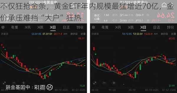 不仅狂抢金条，黄金ETF年内规模最猛增近70亿，金价承压难挡“大户”狂热