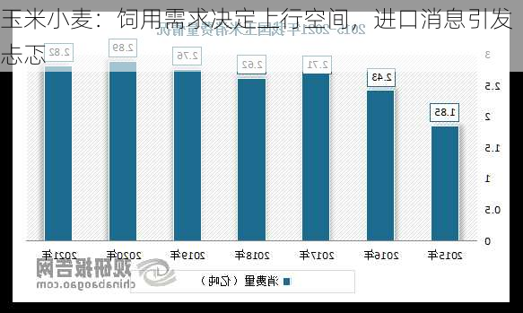 玉米小麦：饲用需求决定上行空间，进口消息引发忐忑