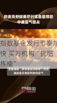 指数基金发行节奏加快 买方机构“挑肥拣瘦”