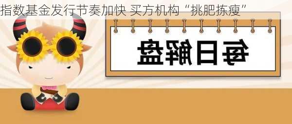 指数基金发行节奏加快 买方机构“挑肥拣瘦”