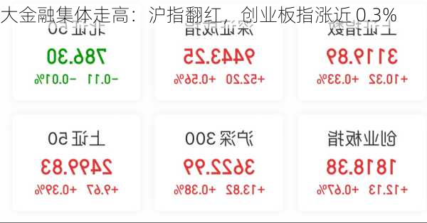 大金融集体走高：沪指翻红，创业板指涨近 0.3%