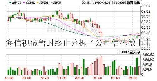 海信视像暂时终止分拆子公司信芯微上市