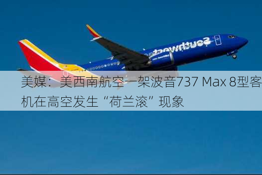 美媒：美西南航空一架波音737 Max 8型客机在高空发生“荷兰滚”现象