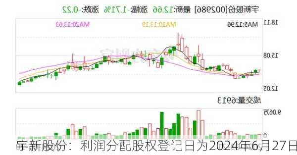 宇新股份：利润分配股权登记日为2024年6月27日