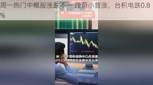 周一热门中概股涨跌不一 理蔚小普涨，台积电跌0.8%