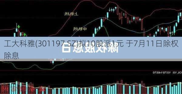 工大科雅(301197.SZ)拟10股派1元 于7月11日除权除息