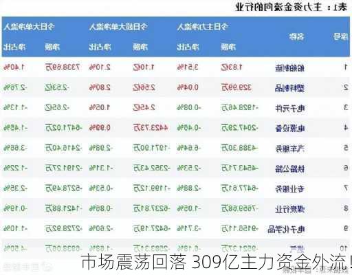 市场震荡回落 309亿主力资金外流！