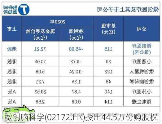 微创脑科学(02172.HK)授出44.5万份购股权