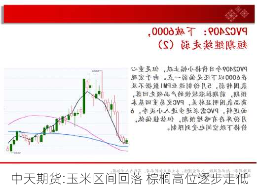 中天期货:玉米区间回落 棕榈高位逐步走低