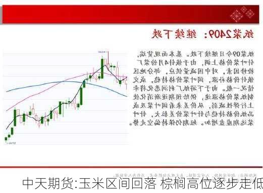 中天期货:玉米区间回落 棕榈高位逐步走低