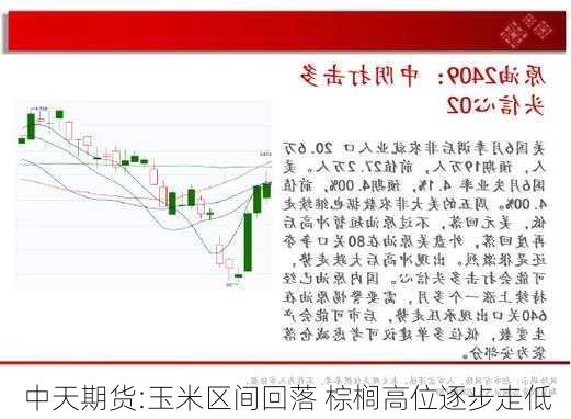 中天期货:玉米区间回落 棕榈高位逐步走低