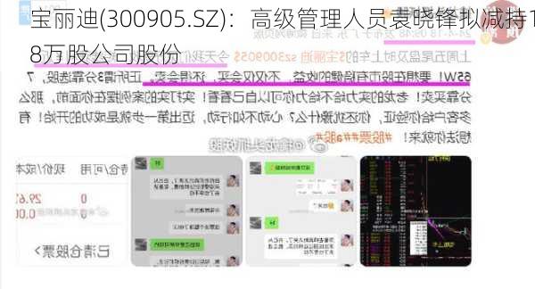 宝丽迪(300905.SZ)：高级管理人员袁晓锋拟减持18万股公司股份