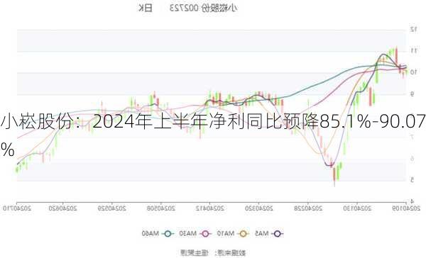 小崧股份：2024年上半年净利同比预降85.1%-90.07%