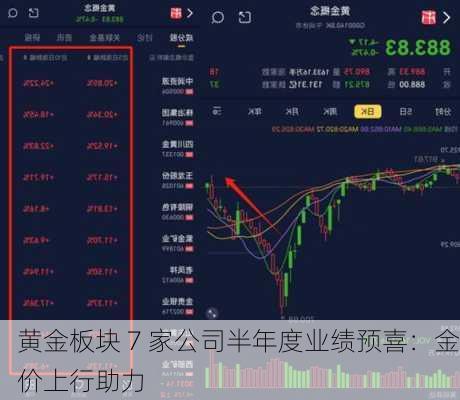 黄金板块 7 家公司半年度业绩预喜：金价上行助力