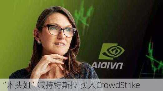 “木头姐”减持特斯拉 买入CrowdStrike