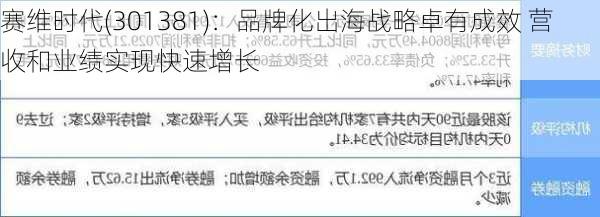 赛维时代(301381)：品牌化出海战略卓有成效 营收和业绩实现快速增长