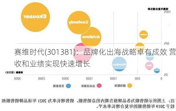 赛维时代(301381)：品牌化出海战略卓有成效 营收和业绩实现快速增长