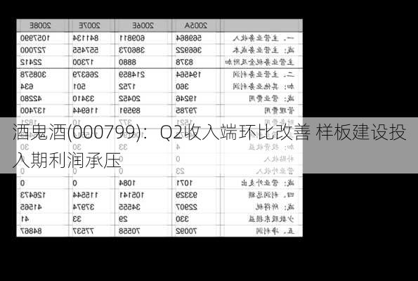 酒鬼酒(000799)：Q2收入端环比改善 样板建设投入期利润承压